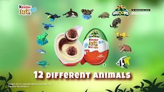 Kinder Joy -  Natoons (Turtle)