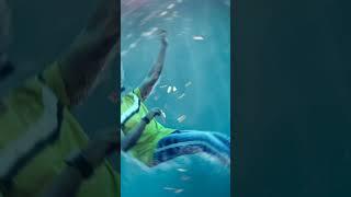 under water editing photo !!