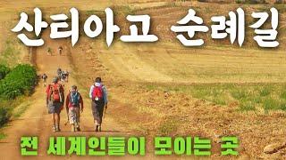 처음 만난 사람과 함께 걷는게 자연스러운 산티아고 순례길 [EP.12]