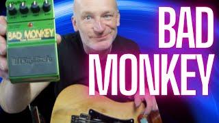 DIGITECH BAD MONKEY PEDAL. REAL DEAL OR HYPE? KLON KILLER? ZEN DRIVE DESTROYER? YOU DECIDE!