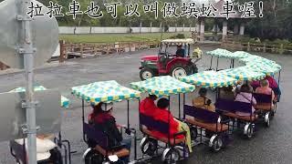 林小姐（小雲小姐）率領蔡垚天舞蹈學院貴賓旅遊團-池上長虹遊園拉拉車   2025.01.31