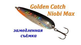 Golden Catch Niobi Max - игра блесны