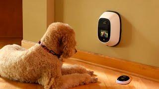 10 Innovative Pet Devices for Pet Owners!