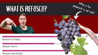 What is Refosco? (an Italian Wine Underdog Story)