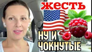 Big Big Family in the USA /Без бокала нет вокала /Обзор /Жизнь в Америке /США Vlog /Funny 4