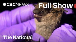 CBC News: The National | Ontario child dies from rabies