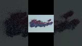 Glitter name Calligraphy #art #artbybia #bia #artist #trending #viral #shortsfeed #shorts #popular