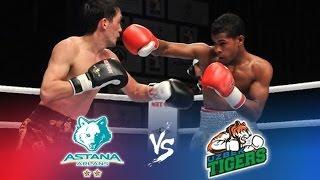 Бокс Astana Arlans vs Uzbek tigers Всемирная серия-2016 / Boxing Worlds Kazakhstan vs Uzbekistan