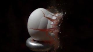 Paintball Gun vs Egg in Slow Motion | Slow Mo Lab