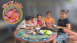 Cá Nướng Cả Con Ăn Mừng Ổ Chào Mào Nở Hết Trứng / HIỆP CUỘI TV