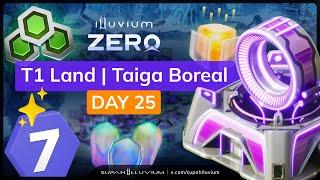 Illuvium: Zero | T1 Land | Taiga Boreal | Day 25 in Building Development