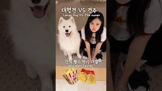 Large Dog vs The Owner: Eat faster challenge