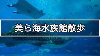 【沖縄 4K】美ら海水族館の散歩 Okinawa Churaumi Aquarium Walking Tour