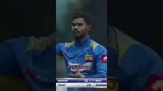 Sri Lanka cricket tik tok #shorts