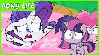 My Little Pony: Pony Life  NEW  A Camping We Will Go  | MLP Pony Life