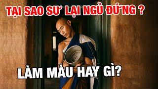 Sốc Nặng: Tại Sao Lại Ngủ Đứng? Sư Minh Tuệ Trả Lời Khiến Nhiều Người Bật Khóc!