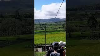 Suasana Pedesaan Gunung & Sawah yg Indah
