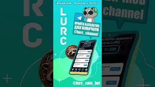 Бесплатное крипто обучение и добыча крипты #lurc #телеграм #крипта