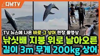 낚싯배 지붕 위로 날아온 길이 3m, 무게 200kg 상어 풀영상 [디낚TV 제보영상]