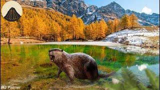 When Beavers Grew to the Size of Bears