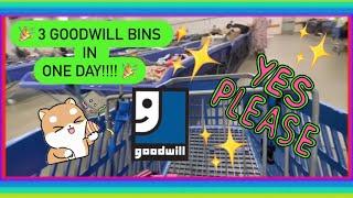 3 Goodwill Bins in 1 DAY!!! A Thrifting Marathon! Thrift With Me for Resale! + HAUL