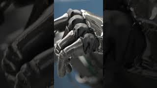 Apollo the humanoid factory worker of the future