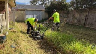 The Neighbours Saw a Snake Slither into this Overgrown Yard. Time To Clean It Up! #satisfying