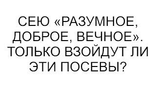 Сею «разумное, доброе, вечное». Только взойдут ли эти посевы?