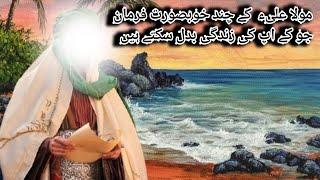 Hazrat Ali a.s Best Quotes | 110 sherazi