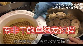 15-20头南非干鲍鱼泡发过程 —【Maybel 话你知】Africa Abalone soaking method