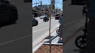 加拿大多伦多街头的潇洒爷爷｜分享加拿大生活记得订阅哦