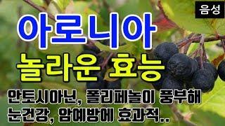 [아로니아 효능] 아로니아의 놀라운 효능, 항산화 폭발! 눈 건강 지키는 비법