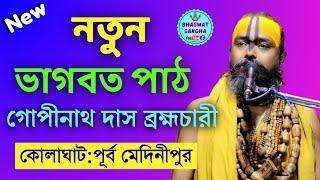 গোপীনাথ দাস ব্রহ্মচারী নতুন ভাগবত পাঠ || Gopinath das brahmachari bhagwat path