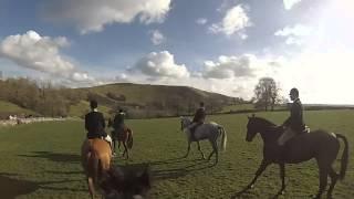 One Final Day with the Staffordshire Moorlands Hunt