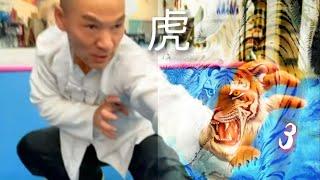 tiger kung fu for beginners  / tiger basics , combo , self defense , conditioning / 虎拳