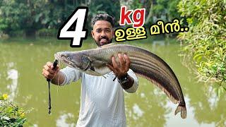 ഈ..മീൻ പിടിക്കാൻ”10”രൂപയും ഒരു മത്തി തലയും മതി|Kerala traditional fishing and cooking|FishingFreaks