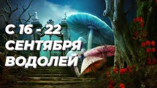 ️ВОДОЛЕЙ. ️С 16 - 22 сентября 2024.️