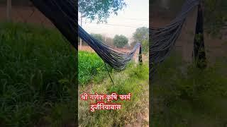 SGk homes Jaipur