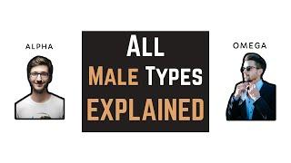 Do you LEAD or FOLLOW? MALE personality types EXPLAINED | Alpha, Beta, Gamma, Omega, Delta, Sigma