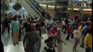 Greenstone Flash Mob