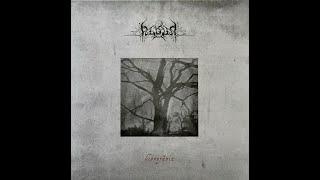 ALGOR - Lesovik