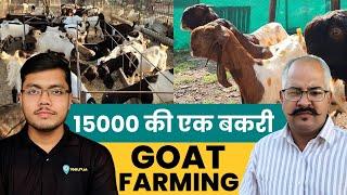 IT Job छोड़ कर बनाया Successful बकरी फार्म | Goat Farming | Bakri Palan Ki A to Z Jankari | Goat Farm