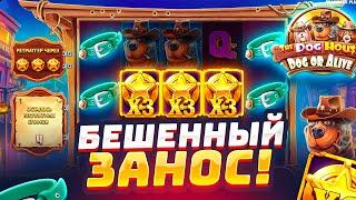 ПОЙМАЛ ОГРОМНЫЙ ЗАНОС В THE DOG HOUSE DOG OR ALIVE / КУПИЛ БОНУСКУ ALL IN , НО ЧТО-ТО ПОШЛО НЕ ТАК