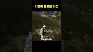 사플이 중요한 이유~  #Shorts #바실리