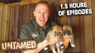 1.5 Hours Of The Wild Life Of Tim Faulkner Full Episodes S2 | Untamed Compilation