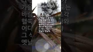 그 색시 서럽다  | 김영랑 | 숏츠 | 항일 시인 | 반일 시인 | 자랑스러운 우리나라 민족 저항 시인