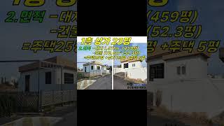 (4억 급매) 바다 도보1분+4거리 코너! 구좌읍 세화리 상가주택 건물 매매(대지459평/땅값으로 파는 건물/공동주택-상가 사업용지) #세화리상가주택 #제주상가주택 #제주도상가주택