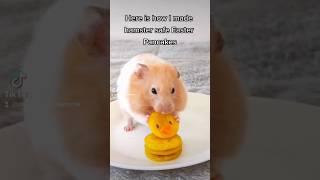 Making Easter Chick Pancakes for Hamsters! - Easy Two Ingredient Recipe - TikTok Trend 