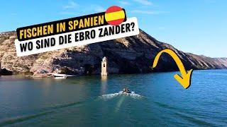 Fischen in Spanien am Ebro Stausee I Wo sind die Monster Zander? Angeln in Mequinenza #zander #ebro