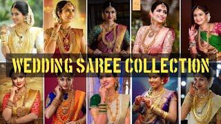 Wedding saree collection 2024 | bridal saree design | trending sarees 2024 #weddingsaree #trending